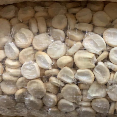 Maíces andinos de alta calidad