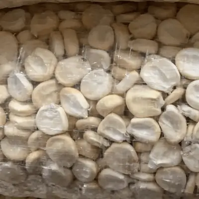 Maíces andinos de alta calidad