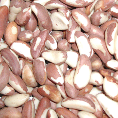 Nueces andinas premium